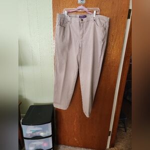 Plus Size Gloria Vanderbilt Jeans